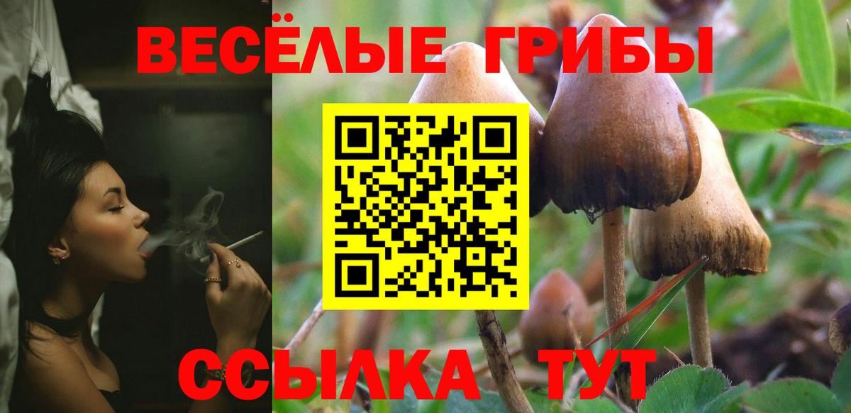 Псилоцибиновые грибы MAGIC MUSHROOMS  Вход с VPN  продажа наркотиков  Шали 